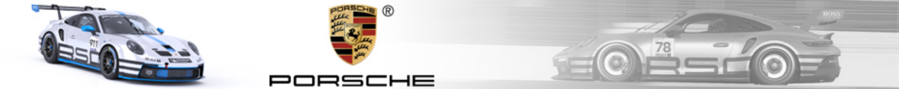 Cup Porsche 992 Cup.png