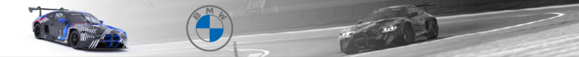 GT3 BMW M4.png