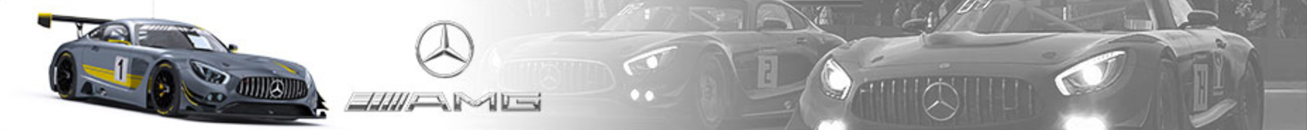 GT3 Mercedes AMG.png
