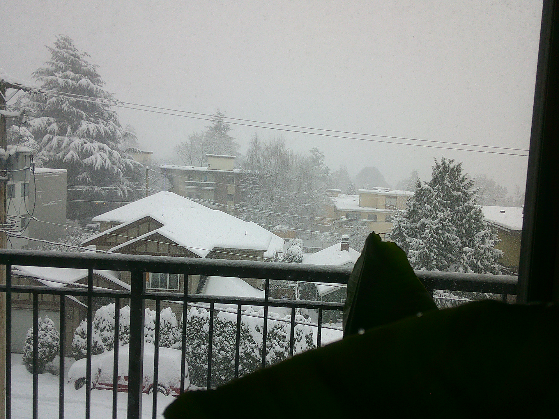 Snowday.png