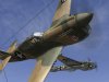 noseart3.jpg